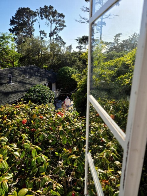 The Vagabond's House Boutique Inn & Spa Studio - image 6