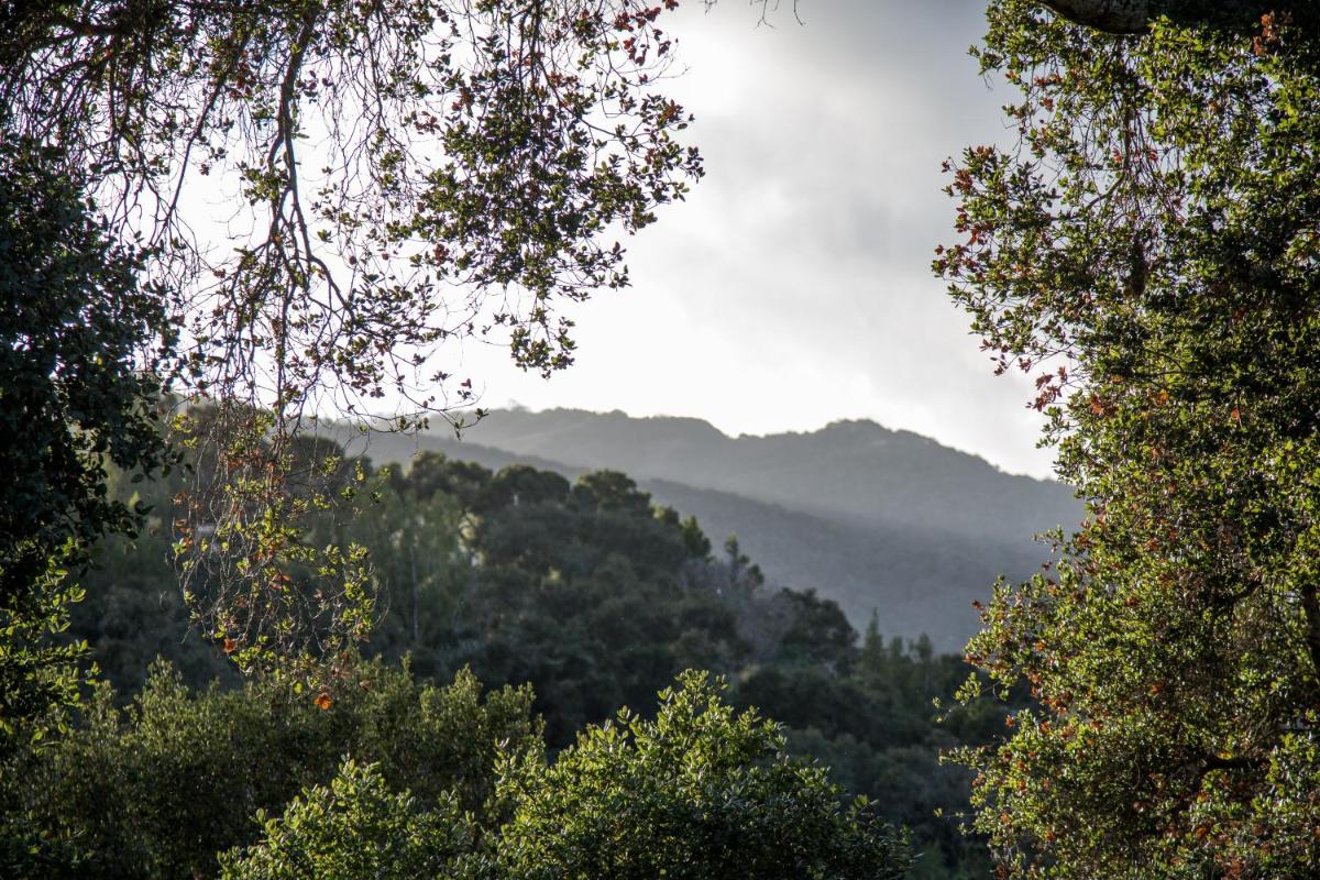 Hidden Valley Inn - image 7