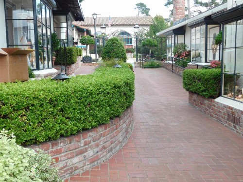 Pine Inn - Carmel - image 15