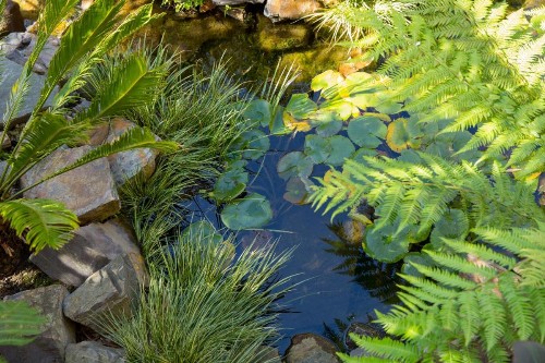 Tradewinds Carmel - image 14