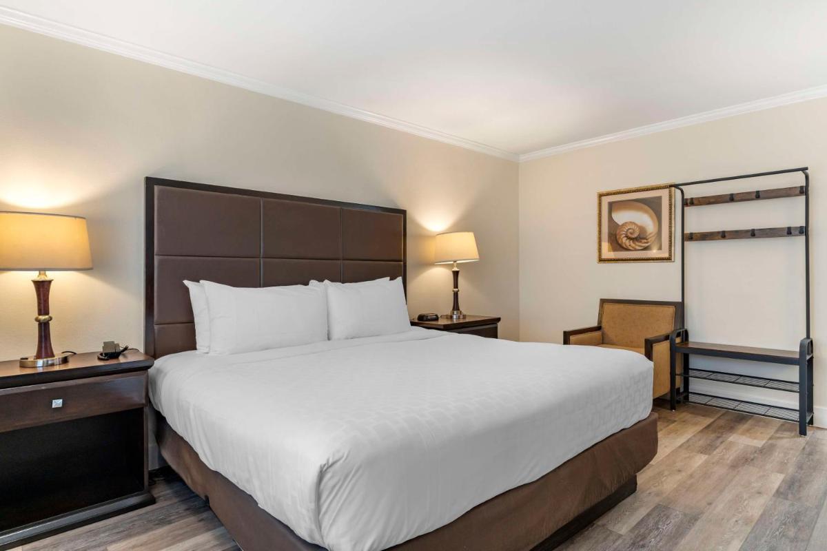 Best Western Carmel's Town House Lodge - image 6