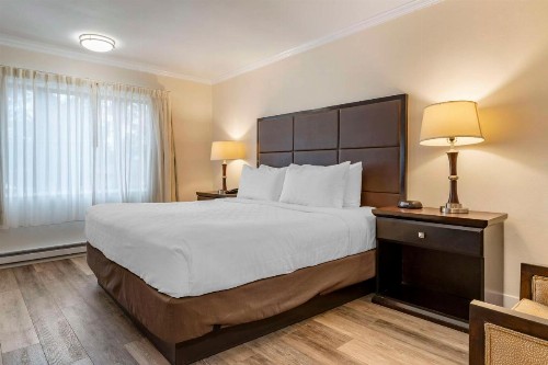 Best Western Carmel's Town House Lodge - image 7