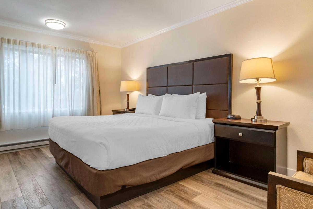 Best Western Carmel's Town House Lodge - image 7