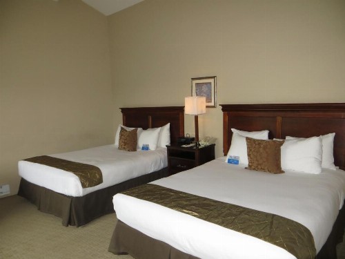 Adobe Inn - image 33