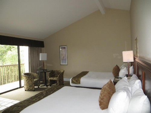 Adobe Inn - image 34