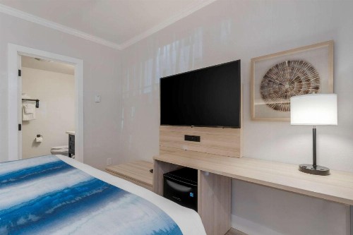 Comfort Inn Carmel By the Sea - image 15