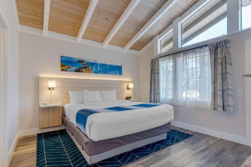 Comfort Inn Carmel By the Sea - image 18