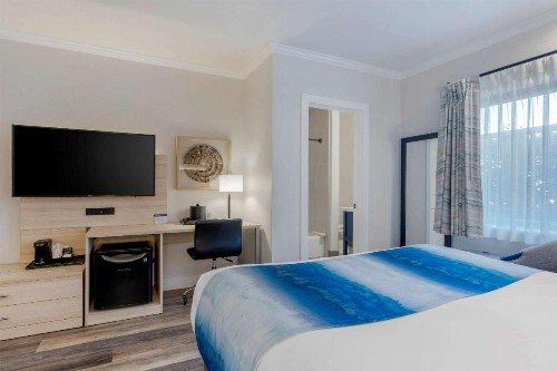 Comfort Inn Carmel By the Sea - image 29