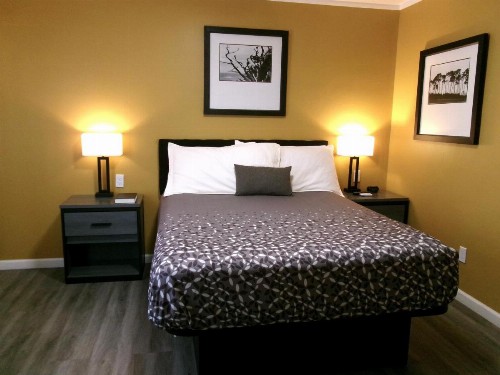 Carmel Wayfarer Inn - image 3