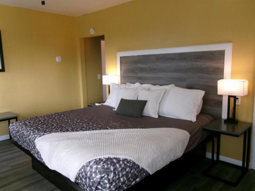 Carmel Wayfarer Inn - image 8