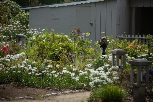 Carmel River Inn - image 34