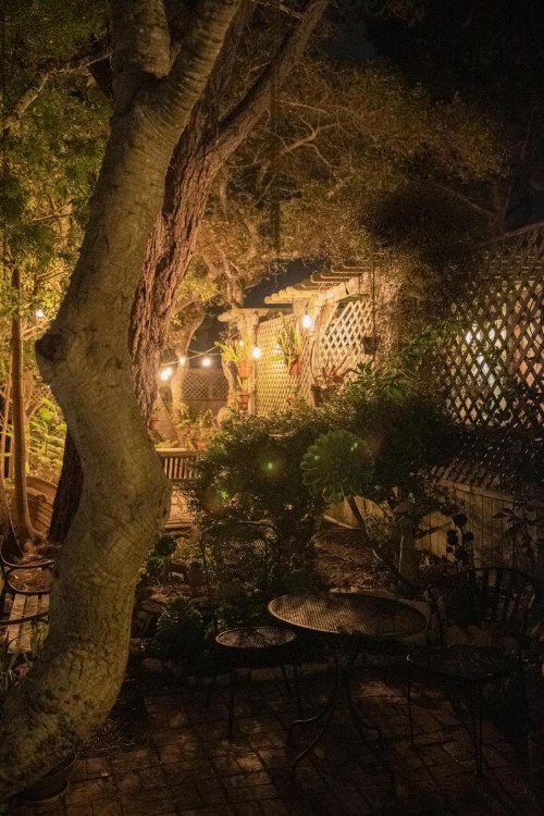 Carmel Garden Inn - image 12