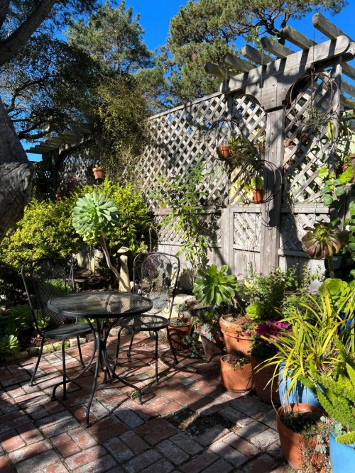 Carmel Garden Inn - image 28