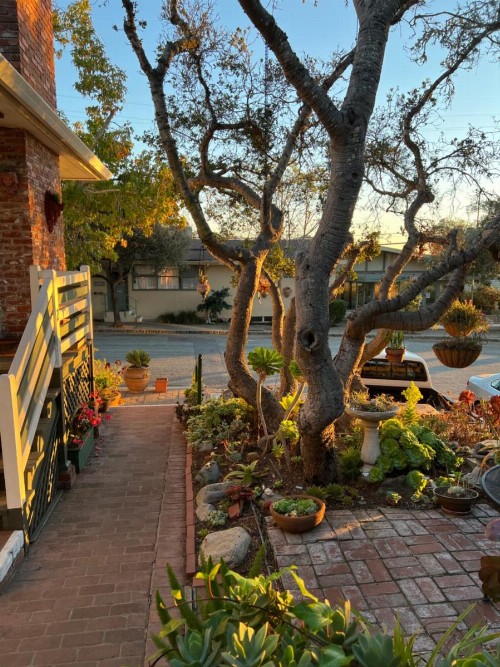 Carmel Garden Inn - image 29