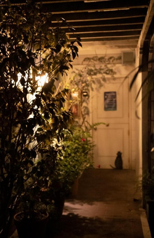 Carmel Garden Inn - image 45