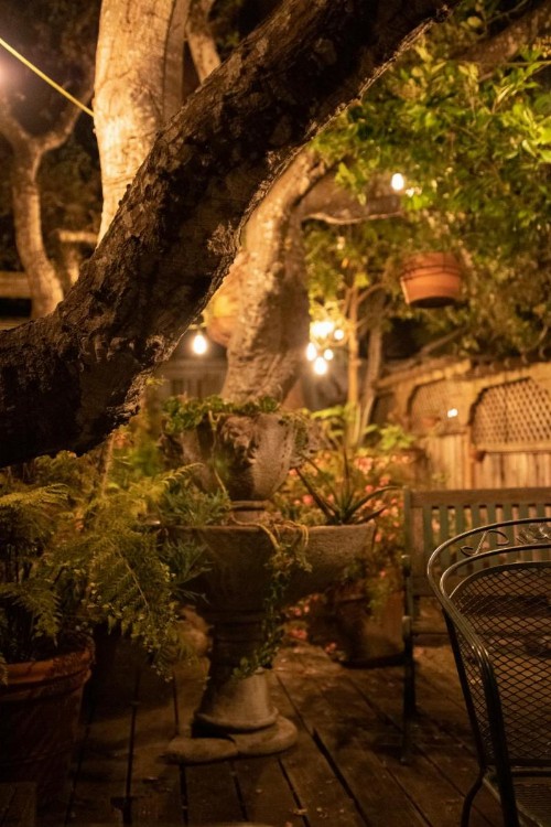 Carmel Garden Inn - image 47