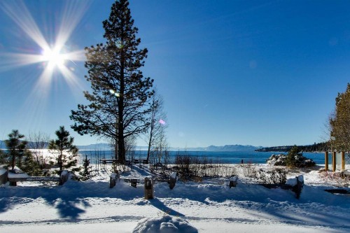 Peaceful Forest Retreat - image 12