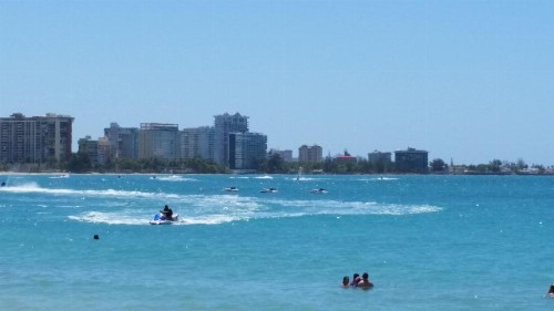 Coral by the Sea - image 42