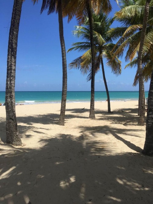 Borinquen Beach Inn - image 35