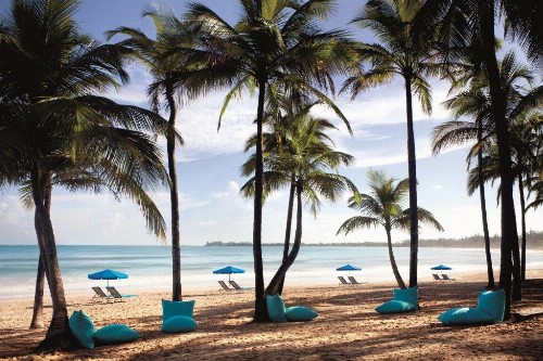 The Ritz-Carlton San Juan - image 23