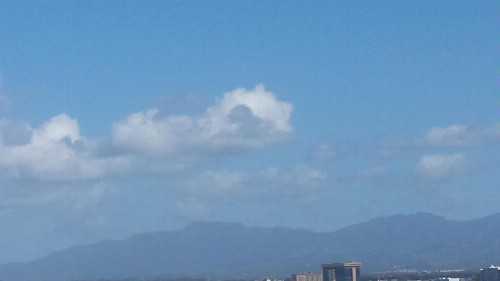 Isla Verde Studio - image 6