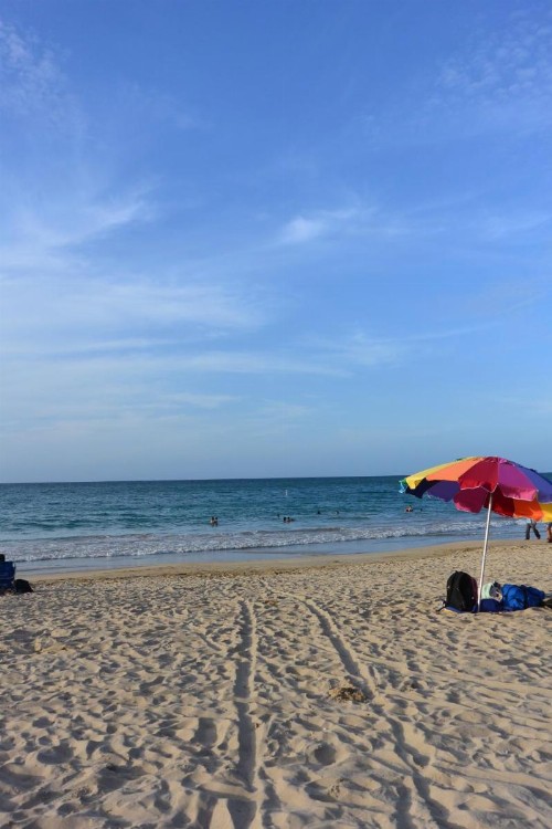 Cozy Beachfront Studio - image 18