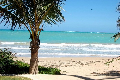 Isla Verde by the Beach - image 2