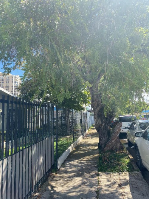 Isla Verde by the Beach - image 20