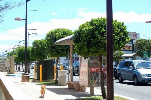 Isla Verde by the Beach - image 47
