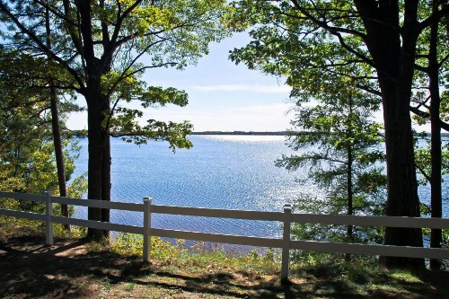Cabin #4 - Loon's Landing cabin - image 10