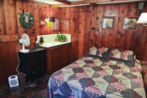 Cabin #4 - Loon's Landing cabin - image 7