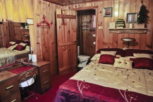Cabin #6 - Casablanca cabin - image 3