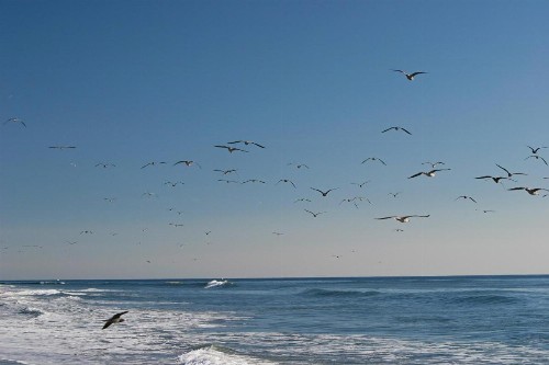 Holiday Inn Express & Suites Carpinteria an IHG Hotel - image 8