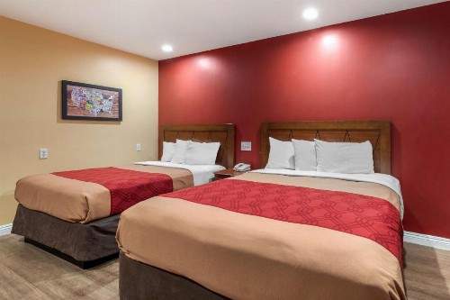 Rodeway Inn Carson - Los Angeles South - image 11