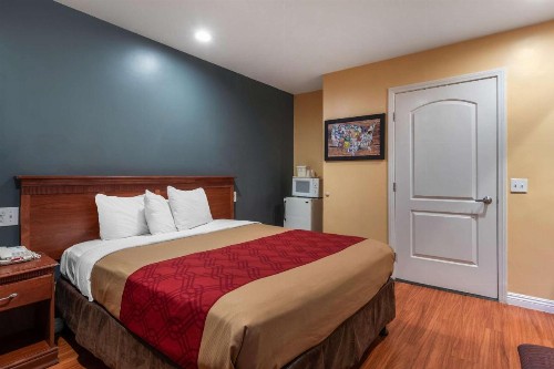 Rodeway Inn Carson - Los Angeles South - image 7