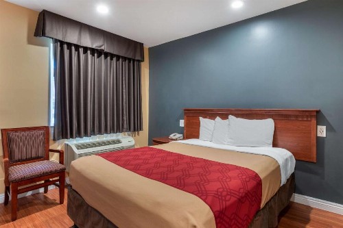 Rodeway Inn Carson - Los Angeles South - image 8
