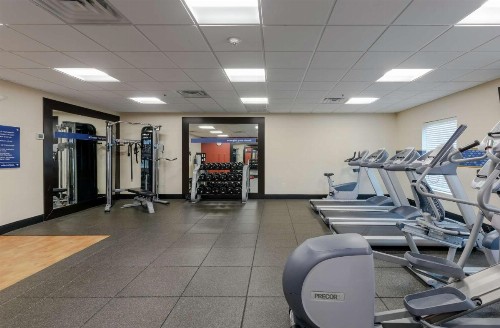 Hampton Inn Emerson - Lakepoint Ga - image 21