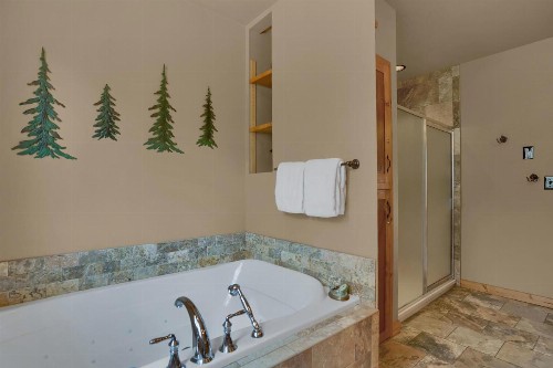Rocky Mountain Lodge - image 6