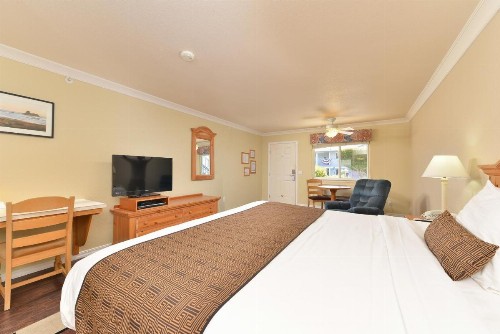 Cayucos Beach Inn - image 20