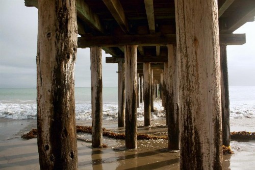 Cayucos Beach Inn - image 7