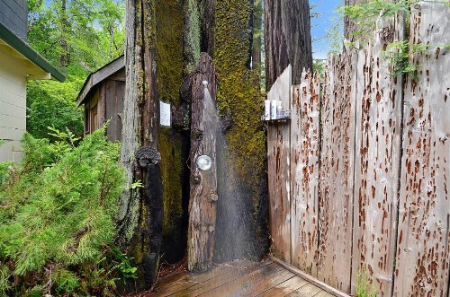 Sequoia Beach Dreamery - image 12