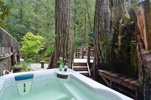Sequoia Beach Dreamery - image 3
