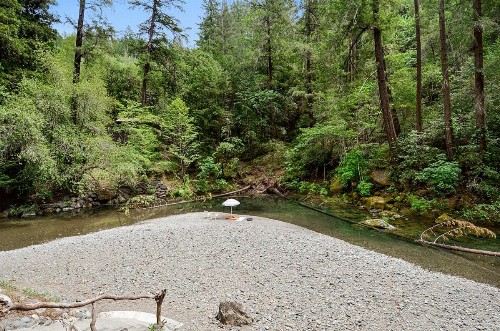 Sequoia Beach Dreamery - image 8