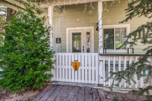 Blue Spruce - image 10