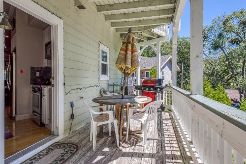 Blue Spruce - image 6