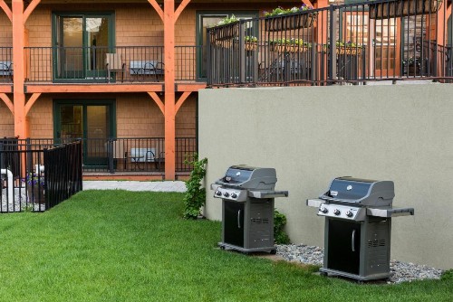 Center Harbor Inn - image 11