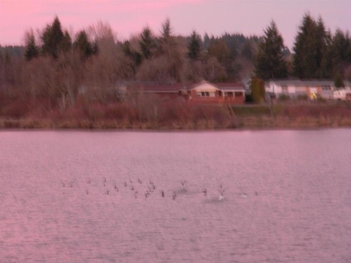 Lakeview Inn Centralia - image 12