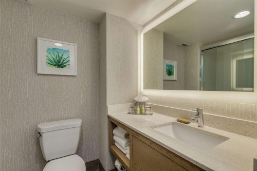 DoubleTree by Hilton Chandler Phoenix AZ - image 16