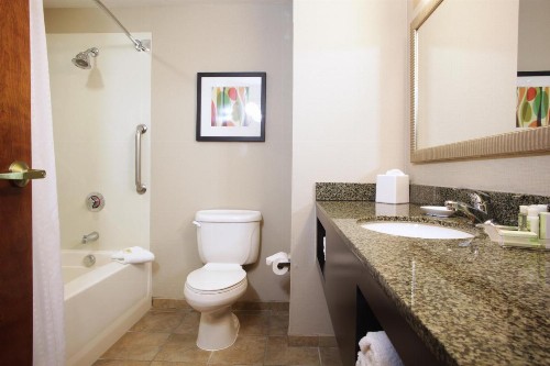 Holiday Inn Phoenix/Chandler an IHG Hotel - image 15