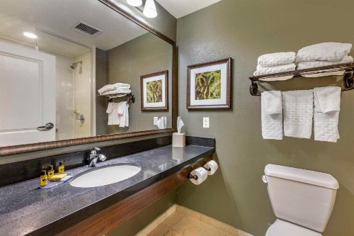 Best Western Plus Chandler Hotel & Suites - image 21